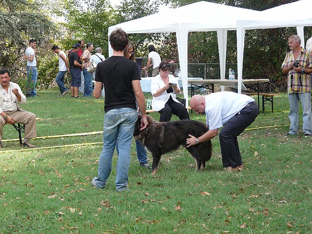 img 085.jpg